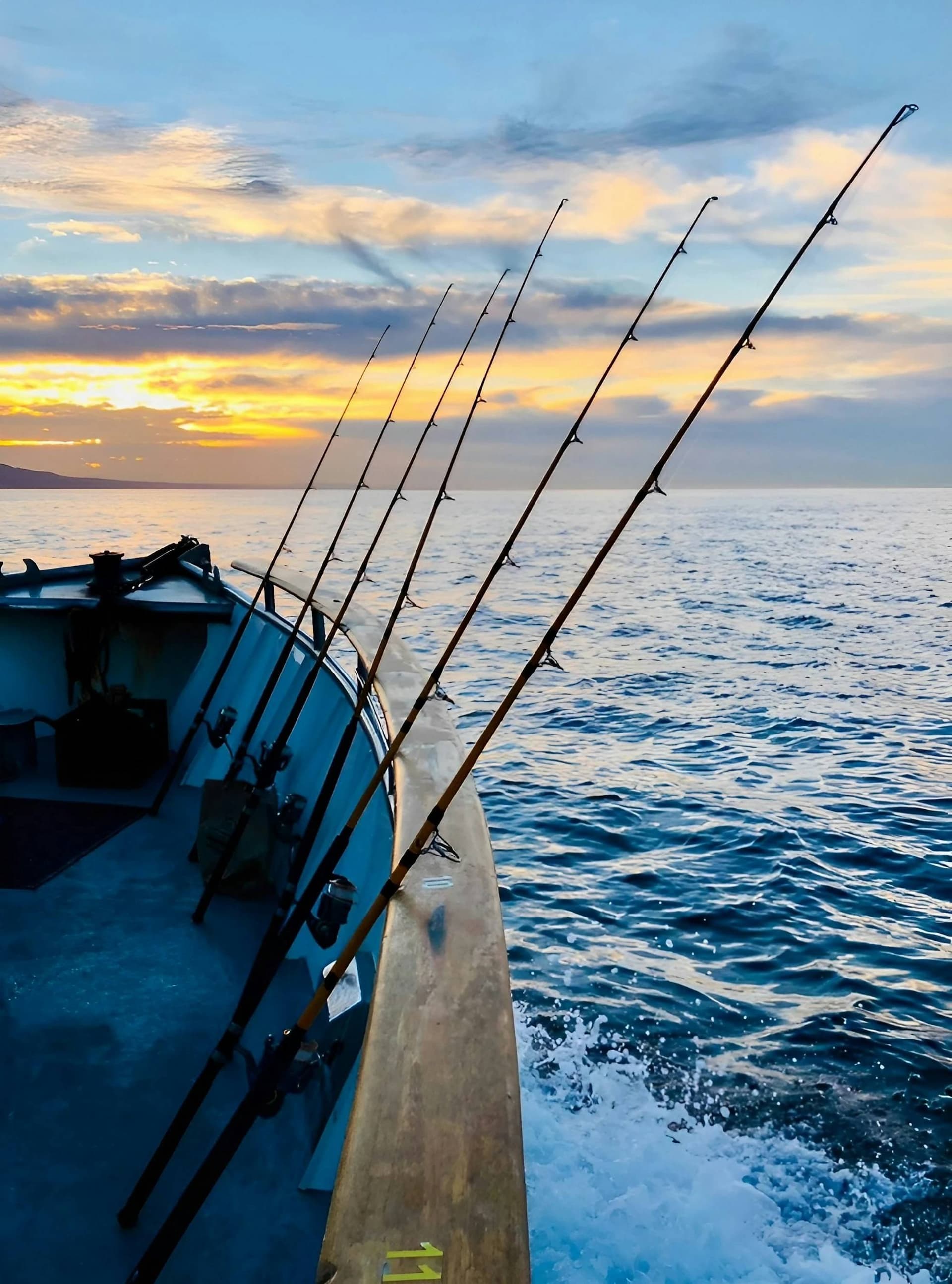 Fish: Charters and guided days afloat