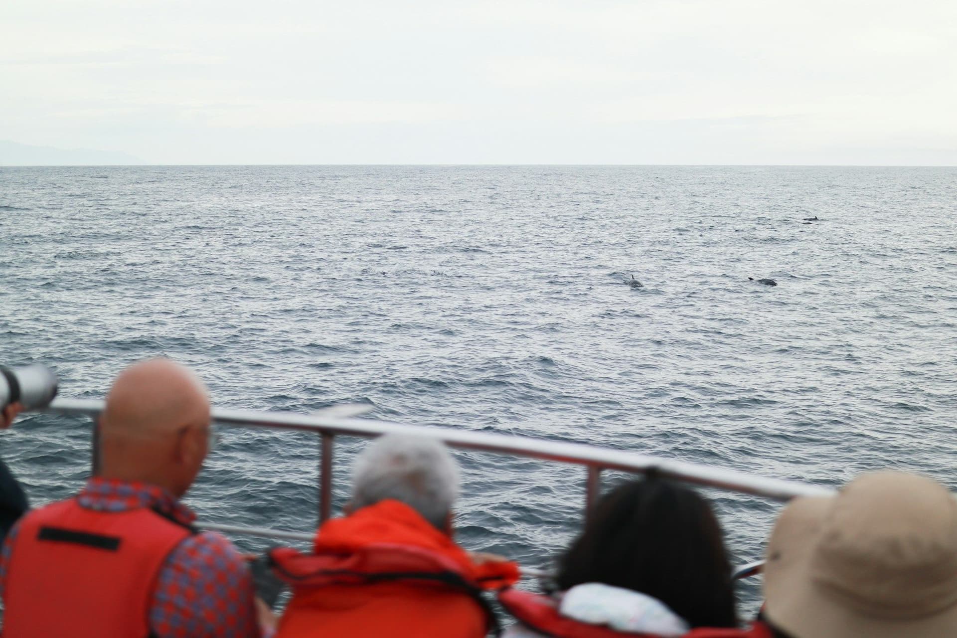 Explore: Wildlife, heritage and nature tours
